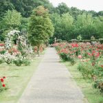 Favoriser la biodiversité au jardin avec la tonte raisonnée