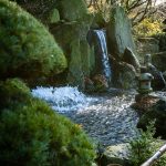 EPDM : comment faire une mare au jardin en utilisant l'EPDM